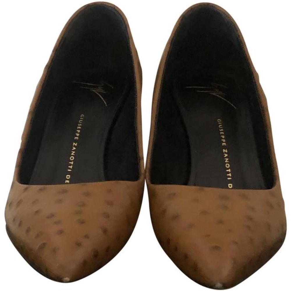 Giuseppe Zanotti